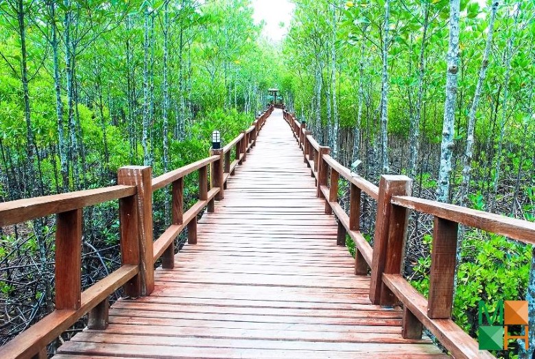 Tranh dán tường Hàn Quốc 3d khổ lớn tại Hà Nội NA - 188